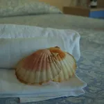 Hotel Rivazzurra Trebbiantico