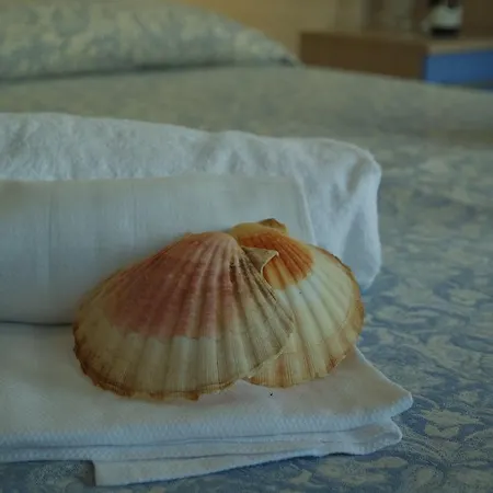 Hotel Rivazzurra Trebbiantico